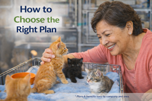 Selecting the Right Medicare Advantage Plan in Illinois