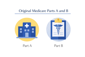 Understanding Traditional Medicare and Its Impact
