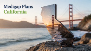 Overview of Medigap Insurance