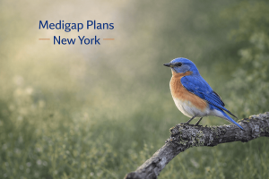 What is Medigap and How Does it Work