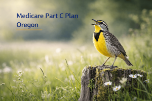 The Basics of Advantage Plans and Their Role in Medicare